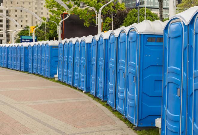 a fleet of portable restrooms ready for use at a large outdoor wedding or celebration in Elizabeth